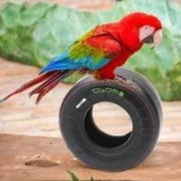 Openparrot Open Parrot Github - Creative High Resolution Sunset Patterns | Free Download