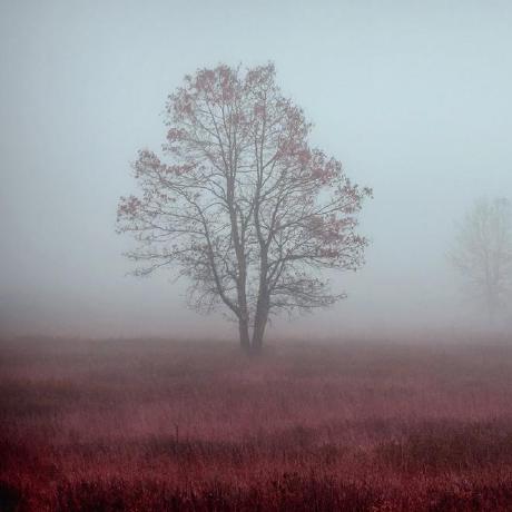 Migi1982 Migi Github - Best Colorful Wallpapers in Full HD