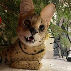 Jeno1352 Jeno Github - High Quality Nature Illustration - Full HD