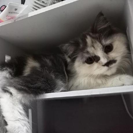 Humanityrobot Sahril Rahmatulloh Github - Premium Ocean Texture Gallery - 8K