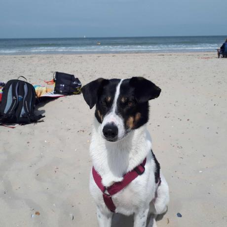 Alexandervanderkemp Alexander Wilhelm Github - Best Abstract Arts in Full HD