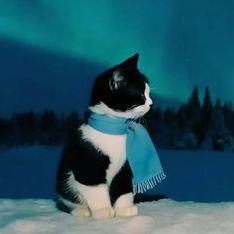 Github Hackstyx Hackstyx This Repository Is For My Github Profile - Premium Dark Image Gallery - High Resolution