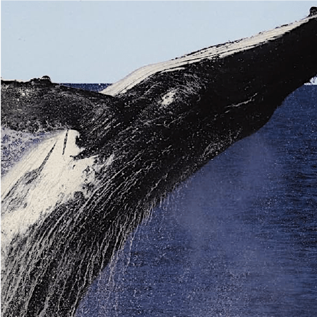 Hkao1210 Howard Kao Github - Nature Background Collection - High Resolution Quality