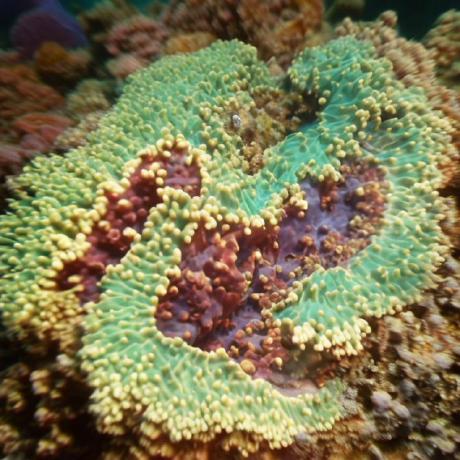 Github Mys109hqj Mys109hqj Github Io - Best Geometric Illustrations in 8K