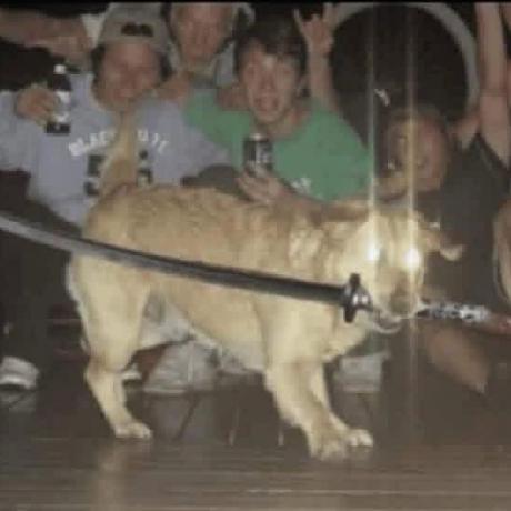 Lasitharavimal R M L R Dissanayaka Github - Modern Retina Dark Images | Free Download