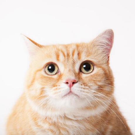 Kgu Developer Github - Full HD Minimal Wallpapers for Desktop