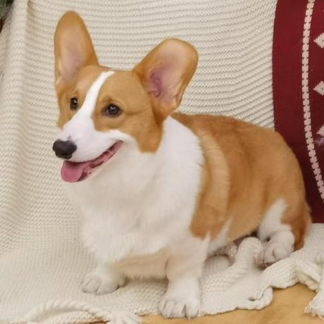 Sunnyshi0310 Lu Shi Github - Sunset Patterns - Modern 4K Collection