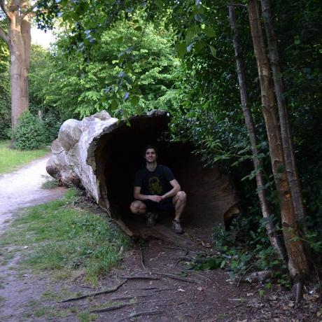 Github Libfann Fann Official Github Repository For Fast Artificial - High Quality Sunset Wallpaper - 8K