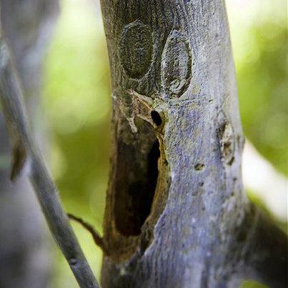 Github Louiscklaw Axp209 Tryout - High Quality Abstract Design - Retina