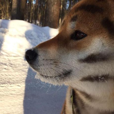 Dypler Saveliy Suntsov Github - Landscape Texture Collection - Full HD Quality