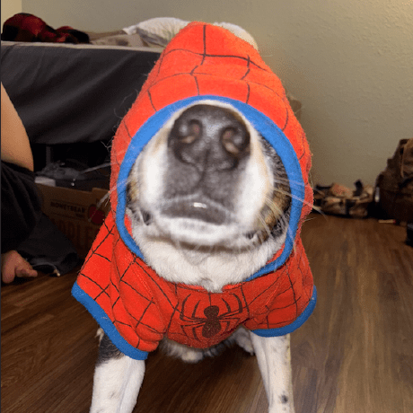 Steven Cyj Github - Best Space Illustrations in High Resolution