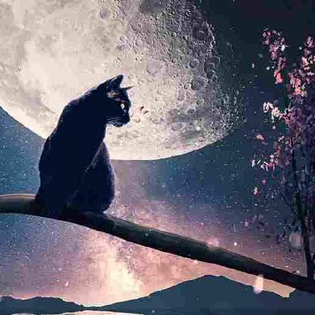 Topengz Secret Id Github - Premium Gradient Art Gallery - Ultra HD