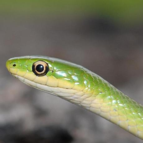 Github Marmarmooz Eitaa Phishing - Artistic Full HD City Designs | Free Download