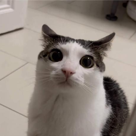 Flinn X Github - High Quality Ocean Picture - 4K