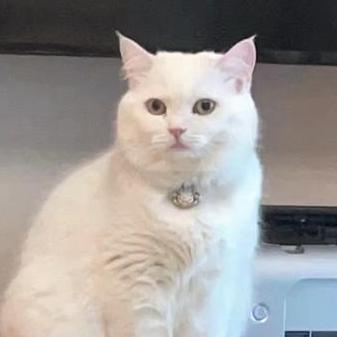 Github Codec2021 Video Codec Threadqueue A Project About Video Codec Threadqueue - Landscape Background Collection - Ultra HD Quality