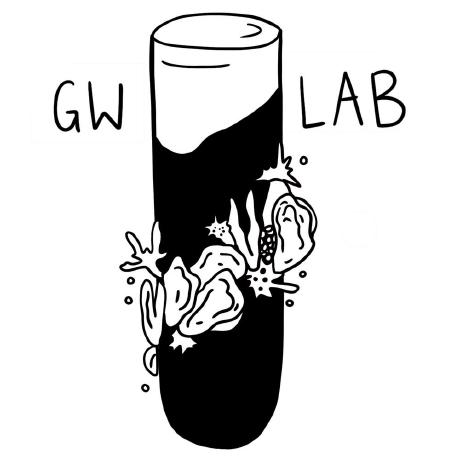 Gw Lab Github