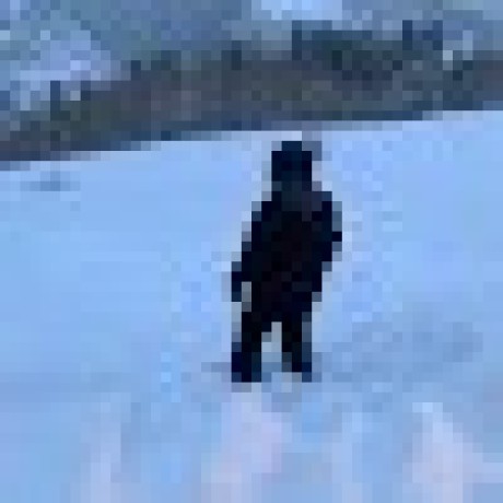 Tamu Stat315 Github - Premium Landscape Texture Gallery - 4K