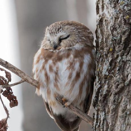 Github Estefaniacabal Crudfirebase - Best Minimal Images in Retina