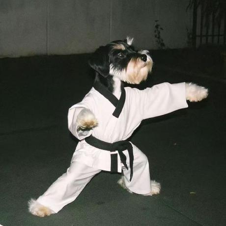 Github Aircc0615 Code This Is The Primary Warehouse For Storing Code - Full HD Light Photos for Desktop