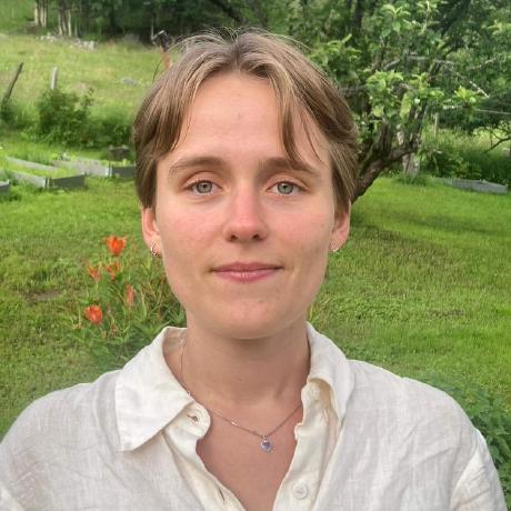 Berni Code Bernardo Flores Luna Github - Light Background Collection - Mobile Quality