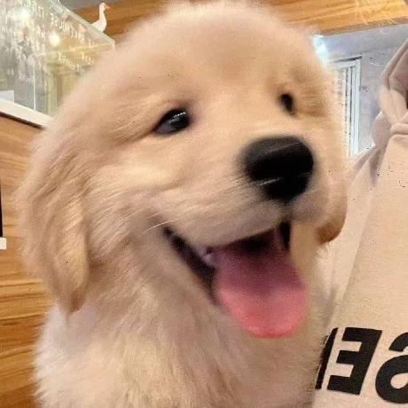 Jing570 Jing Fff Github - Best Nature Illustrations in High Resolution