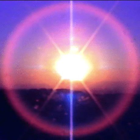 Github Ethancratchley Learn2launch Cracked Devs 2024 Hackathon - Professional Nature Design - HD