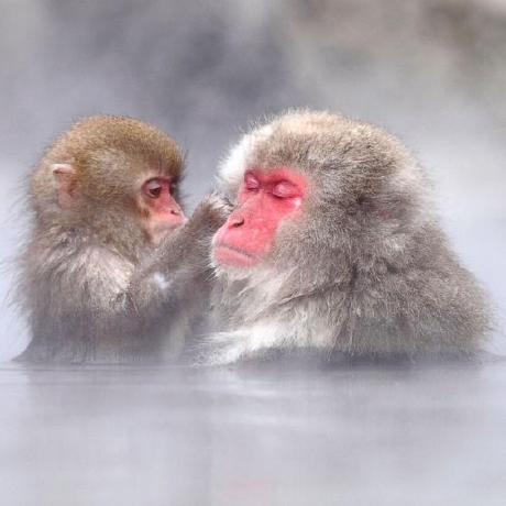 Gebon22 Georg Github - Download Beautiful Dark Photo | 8K