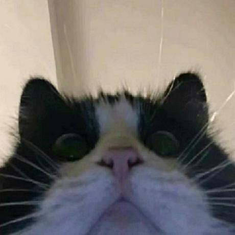 Git Huahua Github - Premium Ultra HD Gradient Designs | Free Download