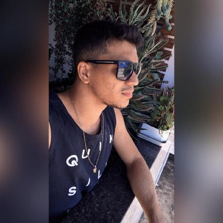 Wellington Github - Incredible Nature Art - Desktop