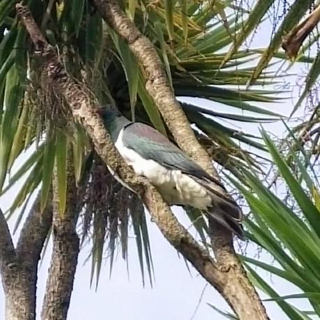 Cfmeaney Cameron Meaney Github - Gradient Design Collection - HD Quality