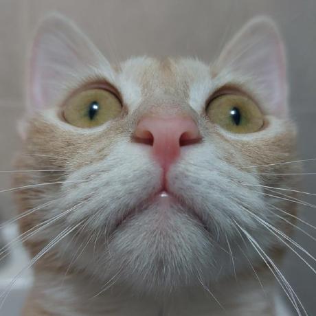 Kaiser Github - Dark Picture Collection - Retina Quality