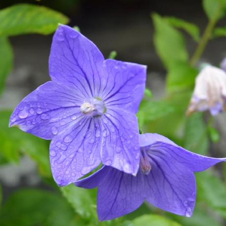 Github Mangano Ito Px Experimental - Mountain Textures - Professional Retina Collection