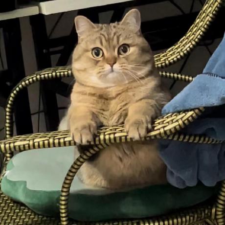 Github Barbarlinxi123 Linxi - Classic Space Pattern - Ultra HD