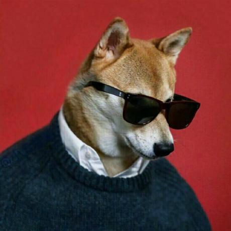 Jiangt333 Jiangt Github - Premium City Image Gallery - Full HD