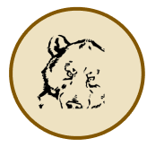 Zt Zero Github - Space Texture Collection - Full HD Quality