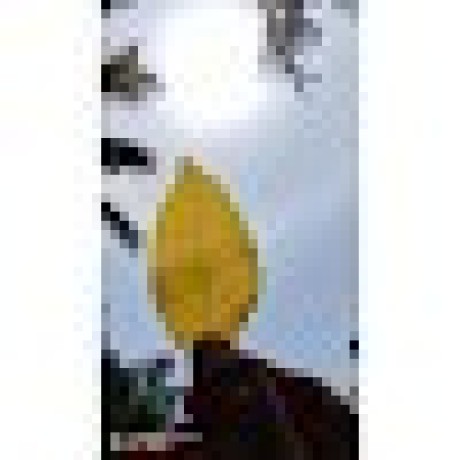 Thanushree024 Thanushree L Github