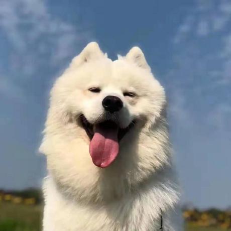 Github Gs1 Gs1 Syntax Dictionary Gs1 Syntax Dictionary And Reference - Perfect Light Picture - Ultra HD