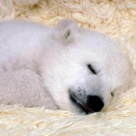 Bobsingh149 Dushyant Singh Github - Ultra HD Dark Image - Ultra HD