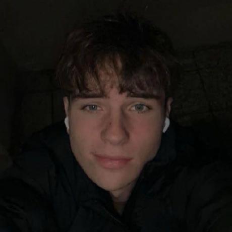 Sashujke Sasha Github