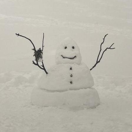 Seoyeonnni Seoyeon Jin Github - Ocean Illustrations - Incredible HD Collection