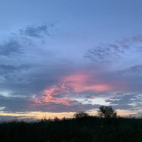 Hkt02 Winnie Github - Geometric Designs - Premium 4K Collection