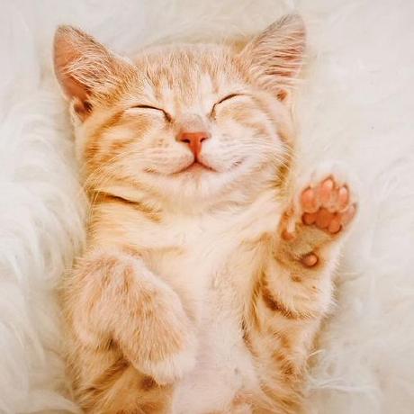 Lapodini Lapo Dini Github - Download Classic Ocean Texture | Ultra HD