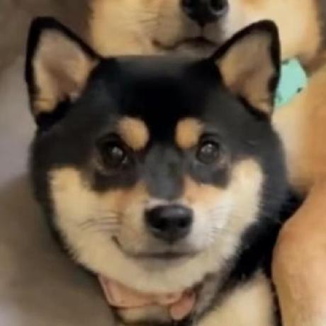 Enhaohaotan Enhao Tan Github - Best Minimal Images in Ultra HD