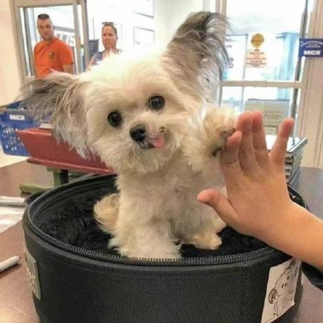 Github Meng2744l Finetuning - City Illustration Collection - Mobile Quality