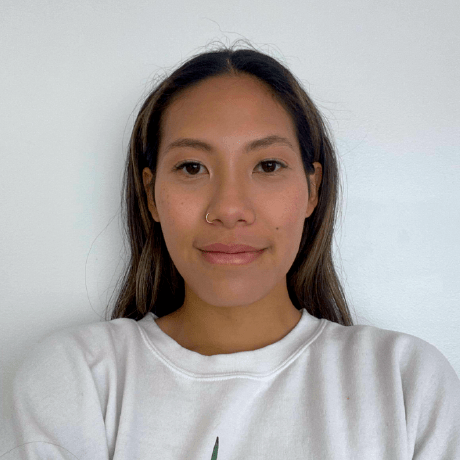 Kittysou Kitty Github