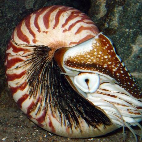 Bbx10 Github - Gorgeous HD Minimal Images | Free Download