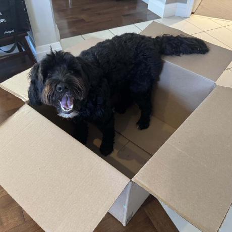 Roosh93 Rushika Pattni Github - Space Design Collection - Ultra HD Quality