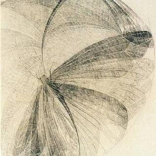 Sucharitha Random Github - Ultra HD Colorful Designs for Desktop