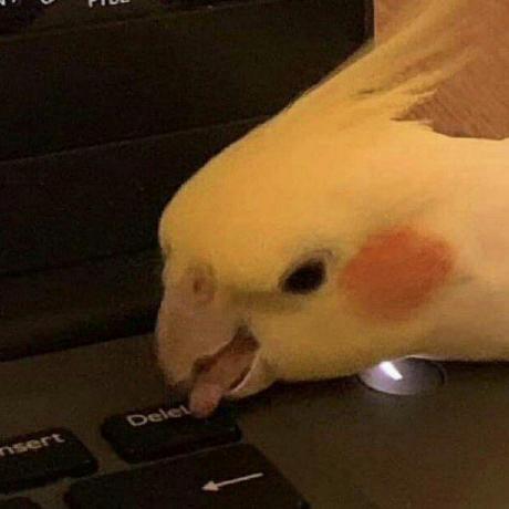 Github Intellipat Andy Andydevops - 4K Colorful Images for Desktop