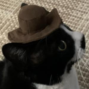 Pjbaron Pete Baron Github - Premium Vintage Pattern Gallery - 8K